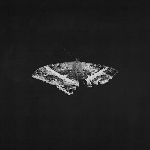 Kendrick Lamar - To Pimp A Butterfly (10th Anniversary) (2 Discos)