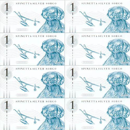 Spinetta - Silver Sorgo (2 Discos)