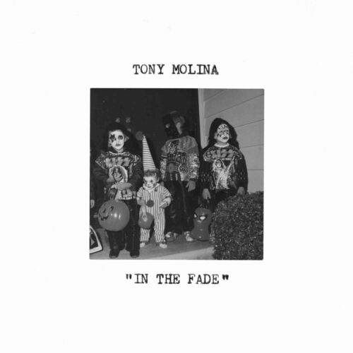 Tony Molina - In The Fade (Disco de Color)