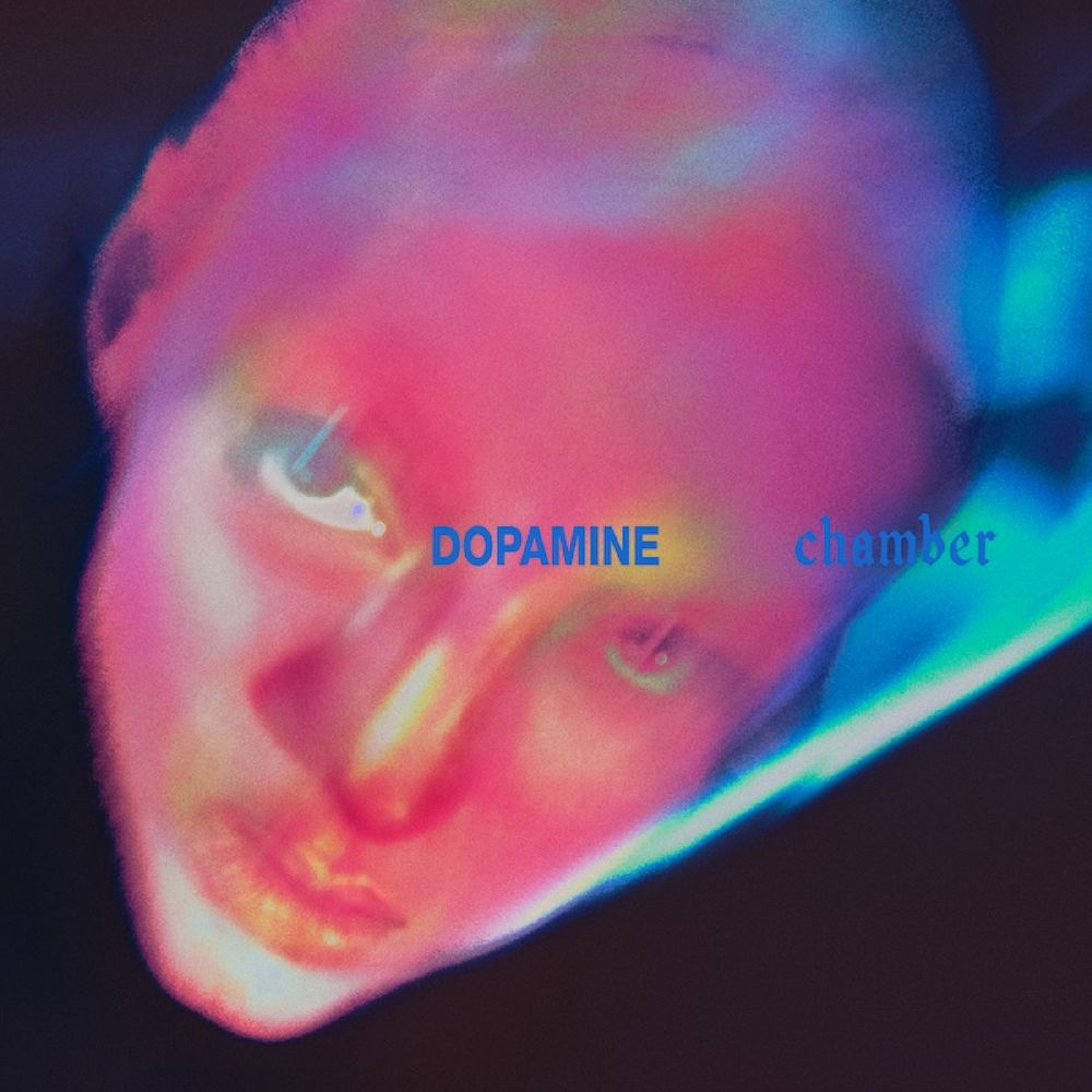 Fontaines D.C. - Dopamine Chamber (Funda Impresa + Inserto)