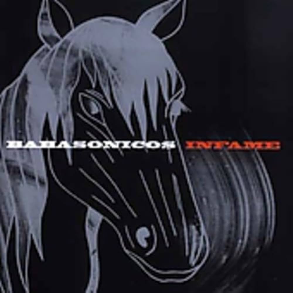 Babasonicos - Infame