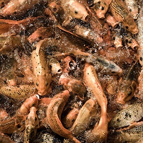 El Columpio Asesino - La Niña Chica (Disco 7" / Etching)