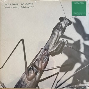 Courtney Barnett - Creature Of Habit (Disco De Color)