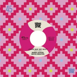 Banda Juvenil Mayas Amautas / Los Bravos Del Ande - ¿Crees Que Soy Sexy? / El Travoltoso - 7" Vinyl
