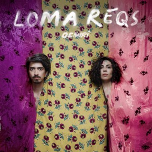 Loma Reqs - Qemirî 
