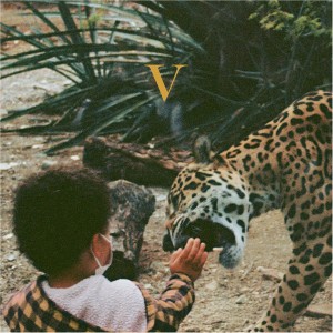 Unknown Mortal Orchestra - V (2 Discos)